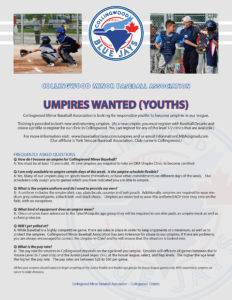 umpires wanted